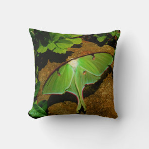 Green Luna moth Cushion