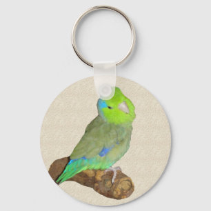 Green male parrotlet key ring