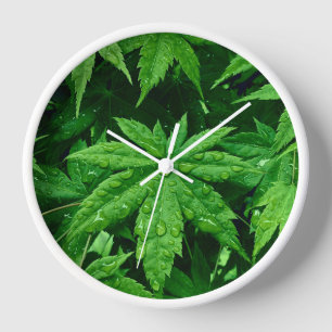GREEN Maple in Spring Clock