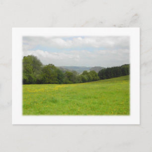 Green meadow. Countryside scenery. Custom Postcard