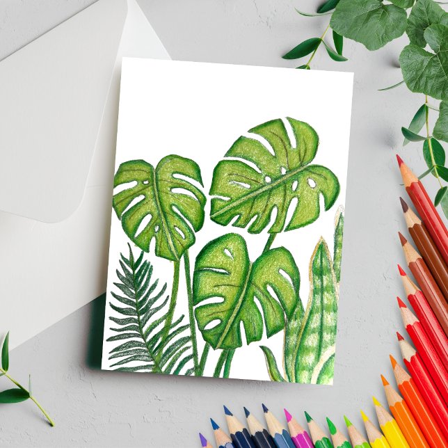 Green Monstera Leaves Drawing Coloured Pencil Postcard (Creator Uploaded)