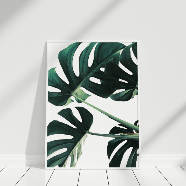 Green Monstera Photography Poster (Green Monstera Photography Poster in white frame.)
