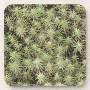 Green Moss Coaster