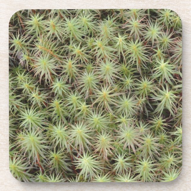 Green Moss Coaster (Front)