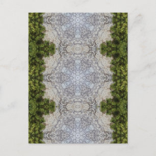 Green Moss & Earth Nature Art Postcard