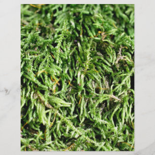 Green Moss Nature Scrapbook Paper