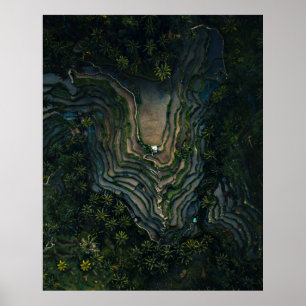 Green moss on black rock poster