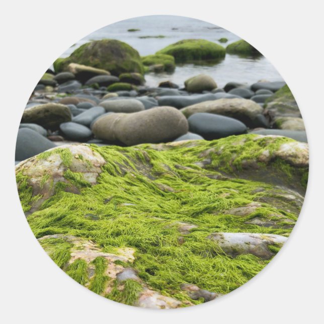 Green Moss Rocks Classic Round Sticker (Front)