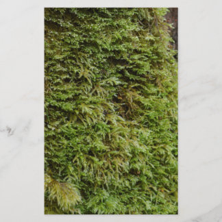 Green Moss Stationery
