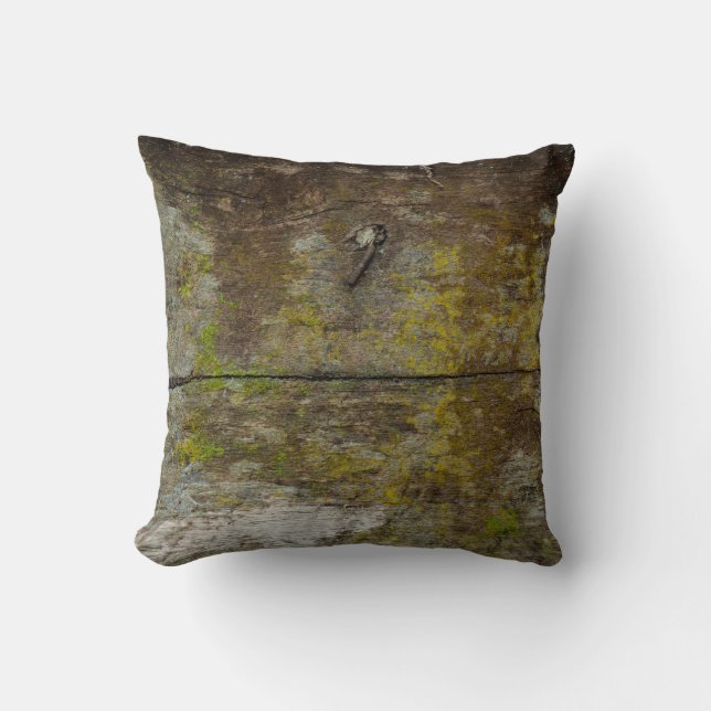 Green moss texture and background. abstract, alive cushion (Front)