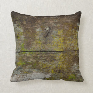 Green moss texture and background. abstract, alive cushion