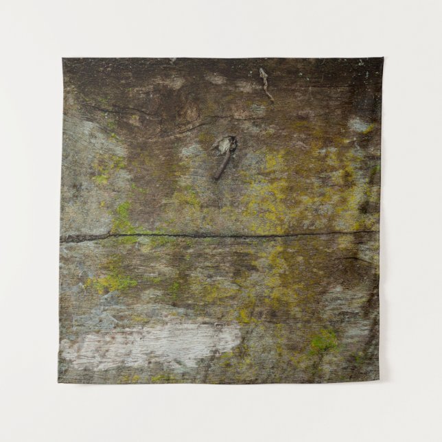 Green moss texture and background. abstract, alive tapestry (Front)