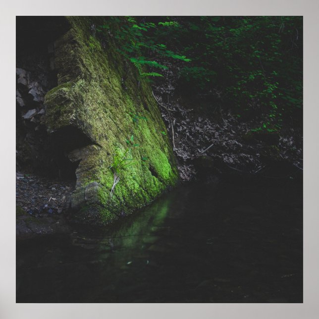 Green mossy rock with reflection in water poster (Front)