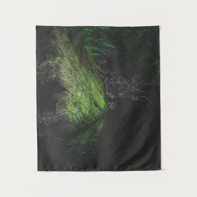 Green mossy rock with reflection in water tapestry (Front)