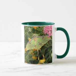 green moth mug