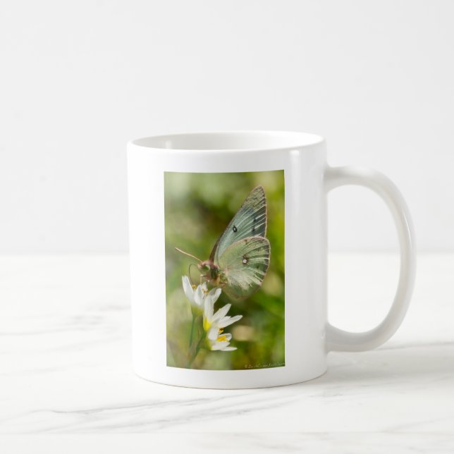 Green Moth on False Garlic Apparel and Gifts Coffee Mug (Right)