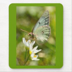 Green Moth on False Garlic Apparel and Gifts Mouse Pad