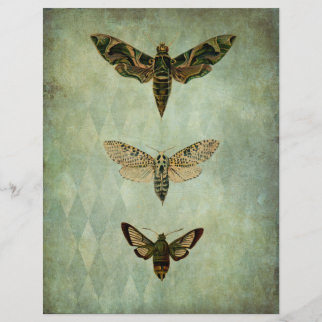 Green Moths Vintage Style Scrapbook Ephemera (Front)