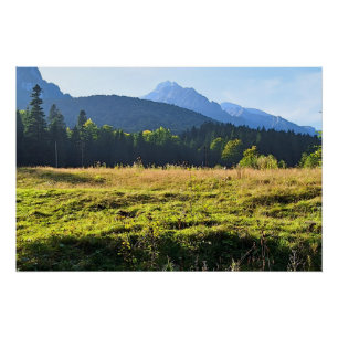 Green Mountain Meadow – Wild Nature Romania Poster