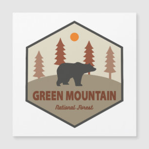Green Mountain National Forest Bear