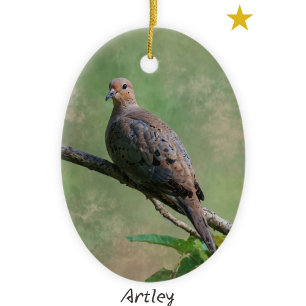 Green Mourning Dove Bird Painting Year Christmas Ceramic Ornament