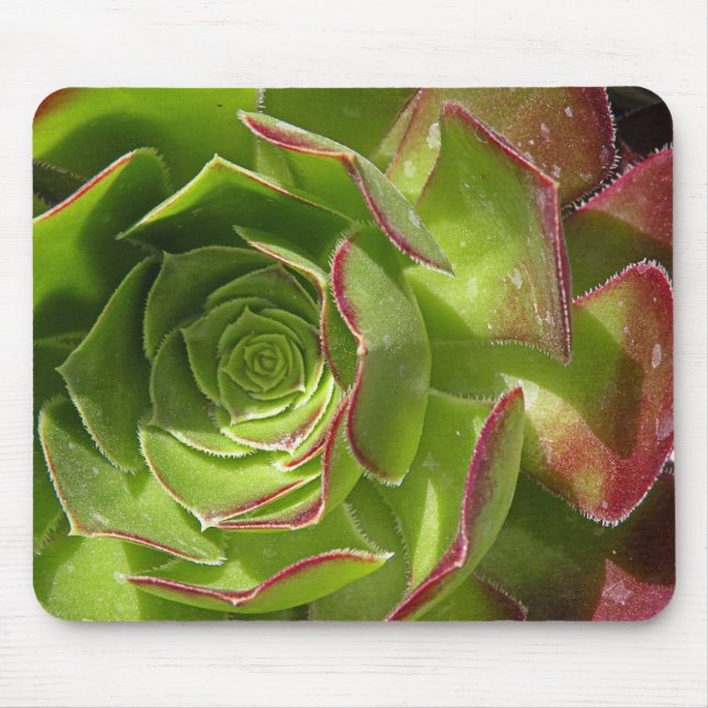 Green Mouse Pad (Front)