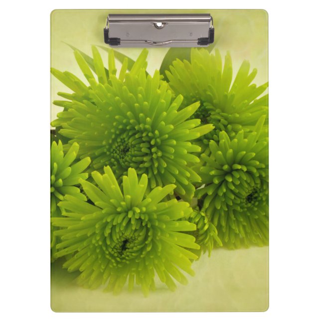 Green Mums Clipboard (Front)