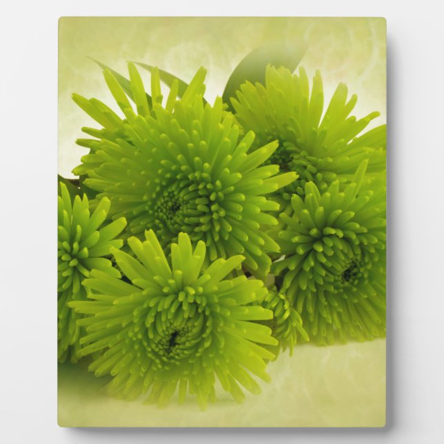 Green Mums Plaque (Front)