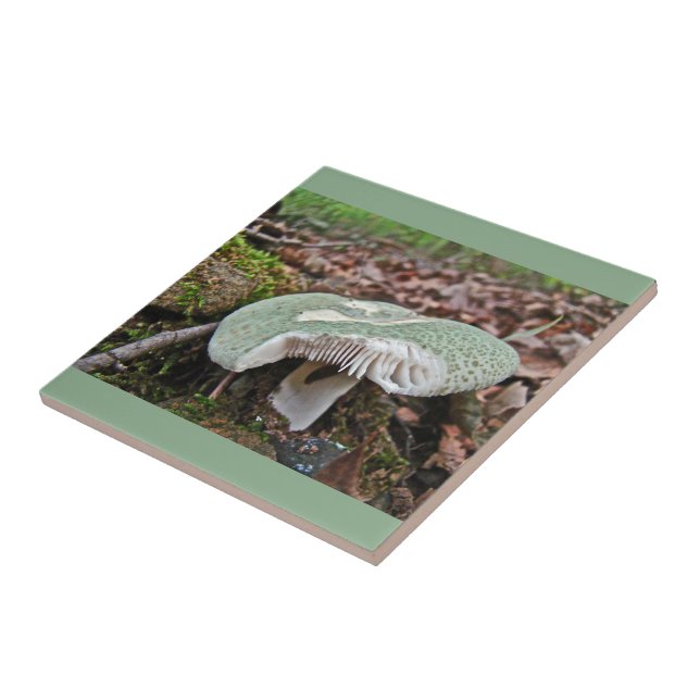 Green Mushroom - Russula crusosa Tile (Side)