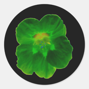 Green Nasturtium Sticker