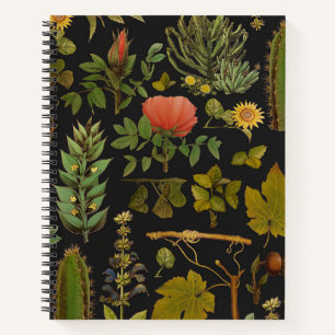 Green Nature Cactus Notebook
