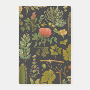 Green Nature Cactus Post-it Notes
