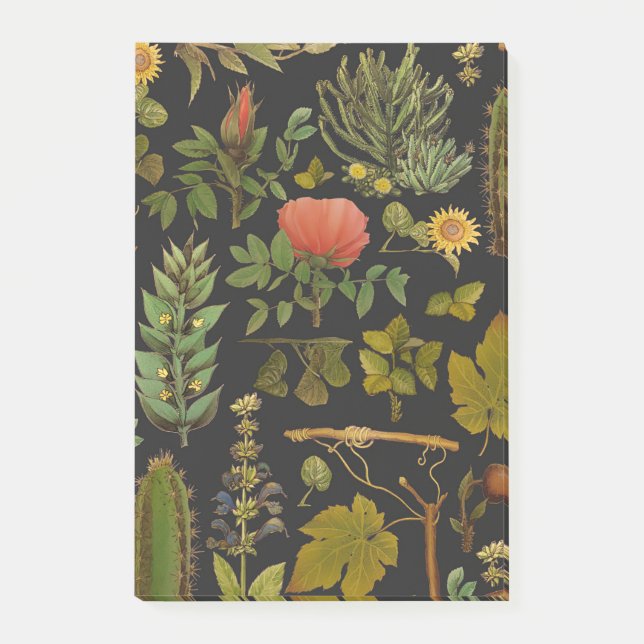 Green Nature Cactus Post-it Notes (Front)