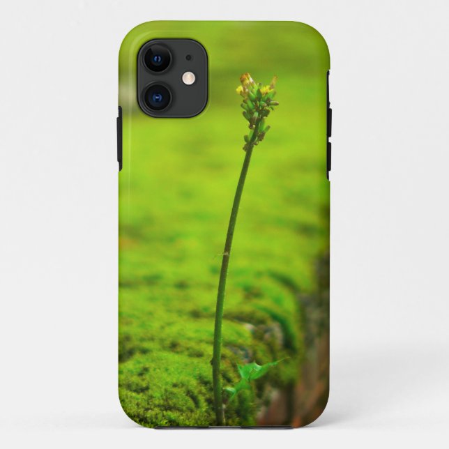 Green nature - New life iPhone Case (Back)