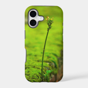 Green nature - New life iPhone Case