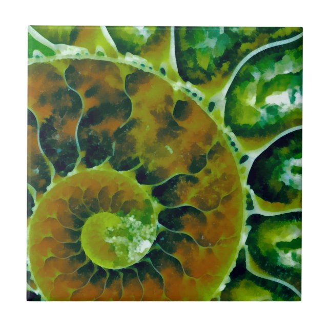 Green Nautilus Ceramic Tile (Front)