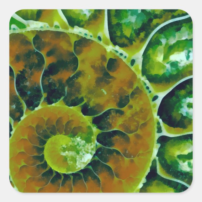 Green Nautilus Square Sticker (Front)