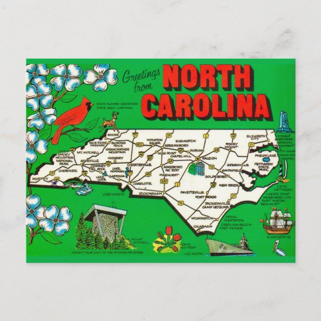 Green North Carolina Map Postcard (Front)