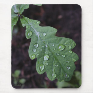 Green oak leaf in rain mouse pad