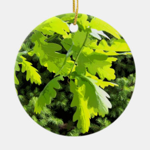 Green Oak Tree Leaves Ceramic Ornament