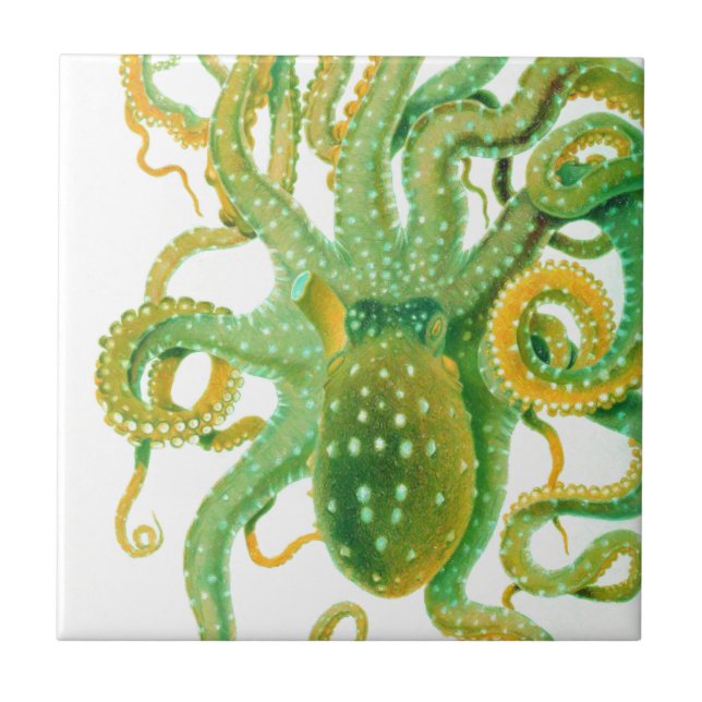 green octopus tile (Front)