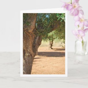 Green Olive Tree Portrait Card