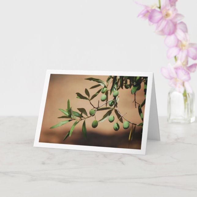 Green Olives Hanging from Olive Tree Card (Orchid)