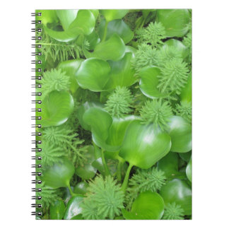 Green on Green Notebook