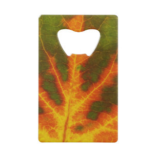 Green Orange & Yellow Aspen Leaf #1