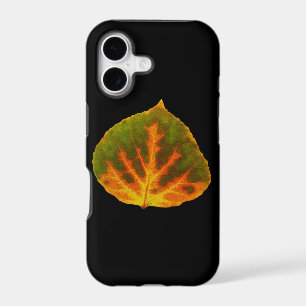 Green Orange & Yellow Aspen Leaf #1