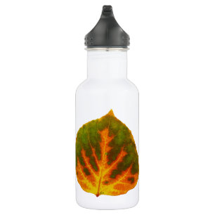 Green Orange & Yellow Aspen Leaf #1 532 Ml Water Bottle