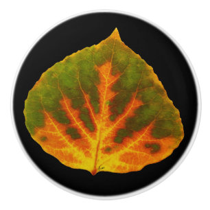 Green Orange & Yellow Aspen Leaf #1 Ceramic Knob