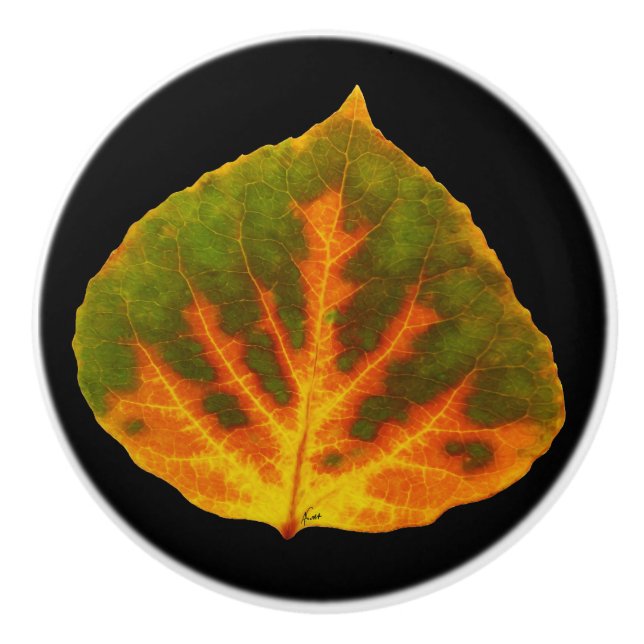Green Orange & Yellow Aspen Leaf #1 Ceramic Knob (Front)