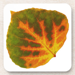 Green Orange & Yellow Aspen Leaf #1 Coaster